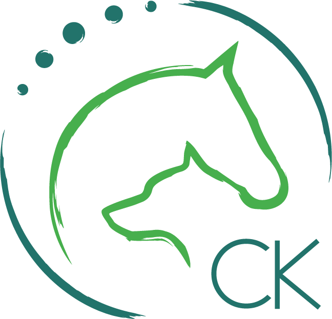 Christiane bewegt | Tensegrales Pferdetraining, Webentwiclung für Pferdetrainer, Hundetrainer, Tiertherapeuten und Gründer der Tierwelt