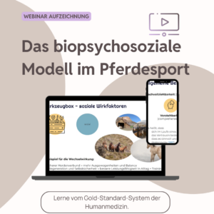 Das biopsychosoziale Modell im Pferdesport