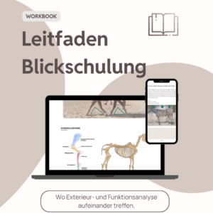 Leitfaden Blickschulung